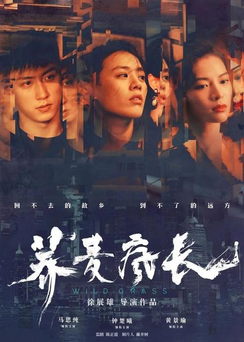 沃尔姆斯应用技术大学文凭